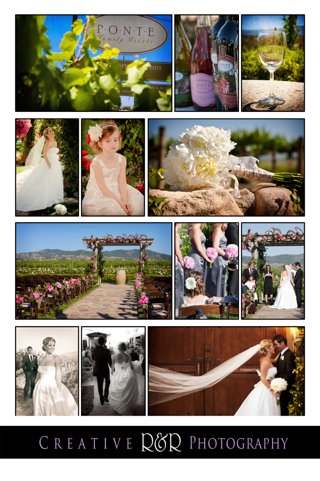 Composite from Kelsey & Chris's Wedding at Ponte Vineyards